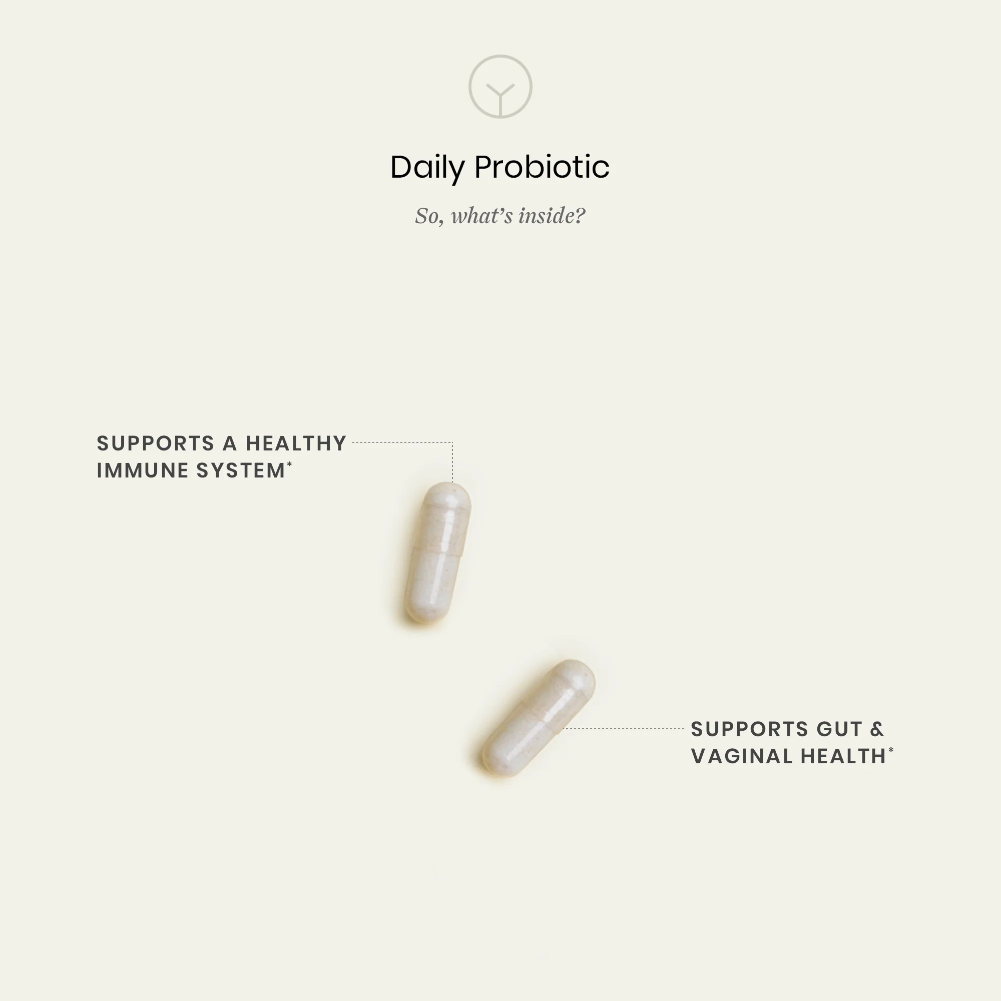 Daily Probiotic - Image 3