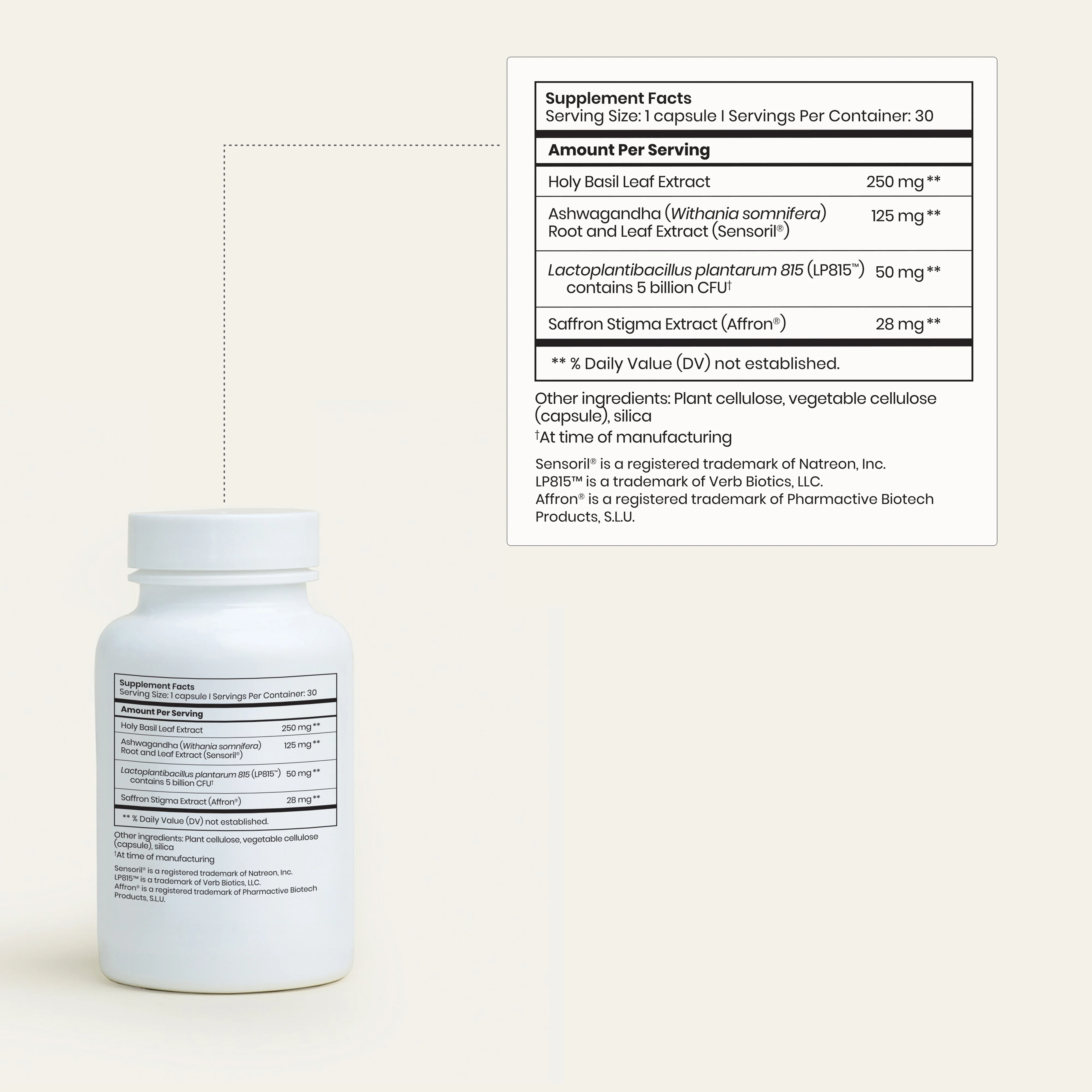 Stress Support - Image 5